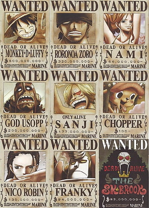 One Piece Straw Hat Pirates Wanted Posters Collection HD phone wallpaper