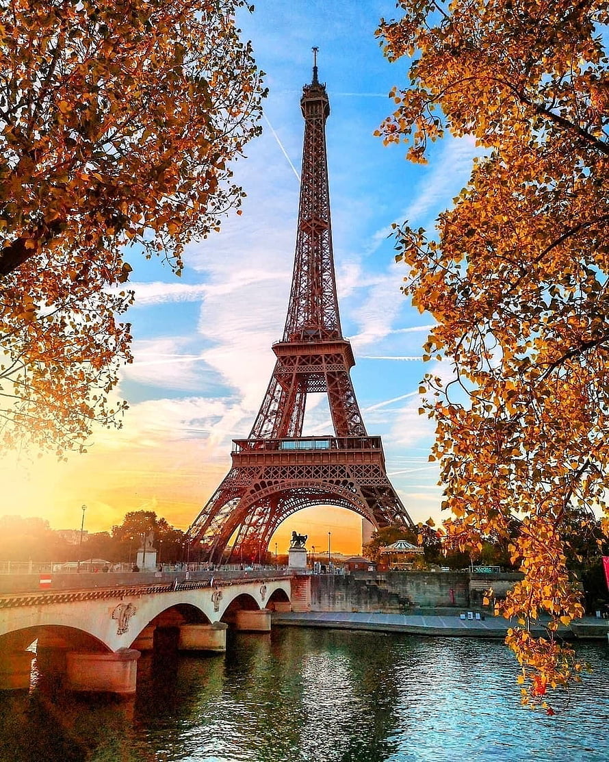 Eiffel Tower framed by golden autumn leaves along the Seine River at sunset in Paris HD phone wallpaper