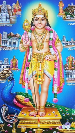 Thiruchendur Murugan Hindu Deity Standing on Peacock with Temple Scenes HD phone wallpaper