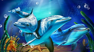 Three dolphins swimming through a vibrant underwater scene with coral, starfish, and sunbeams HD wallpaper