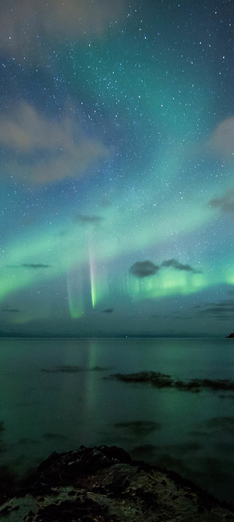 Green Aurora Borealis Dancing Over a Starry Night Sky and Calm Water HD phone wallpaper