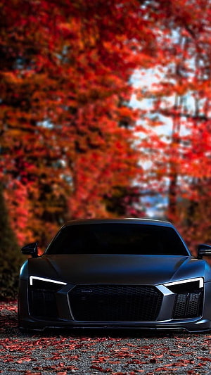 Matte Black Audi R8 Front View Parked on Autumn Leaf Covered Road HD phone wallpaper