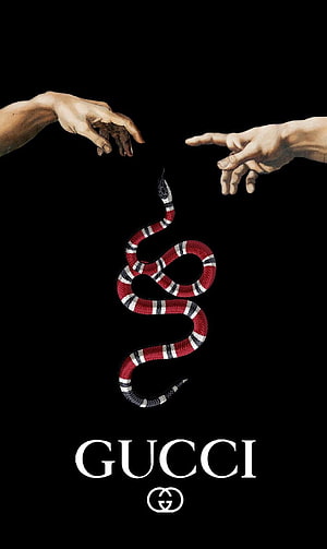 Gucci Creative Campaign Featuring Red Snake and Michelangelo Hands on Black Background HD phone wallpaper