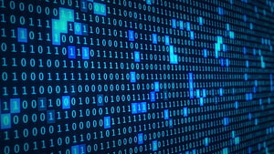 Glowing Blue Binary Code Matrix on Dark Digital Screen HD wallpaper