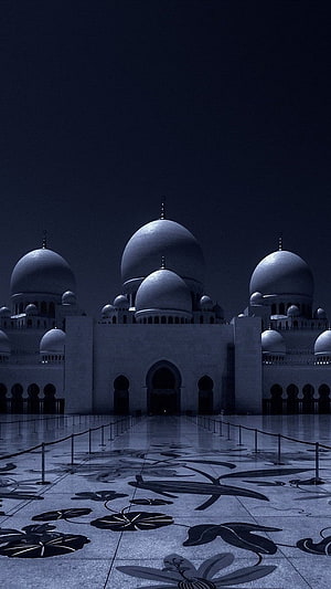 Sheikh Zayed Grand Mosque at Night with Ornate Floral Mosaic Courtyard HD phone wallpaper