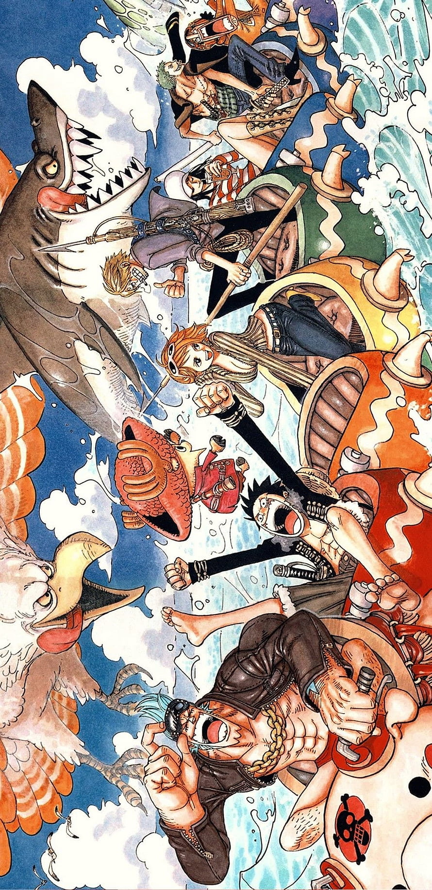 One Piece Straw Hat Pirates Action Scene with Luffy, Zoro, Nami, Usopp, Sanji, Chopper, Robin, and Franky HD phone wallpaper