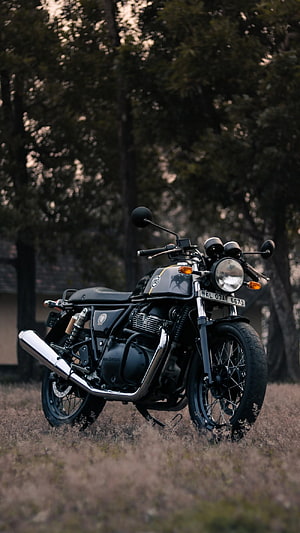 Royal Enfield Interceptor 650 Black Cruiser Motorcycle Parked in a Forest Clearing HD phone wallpaper