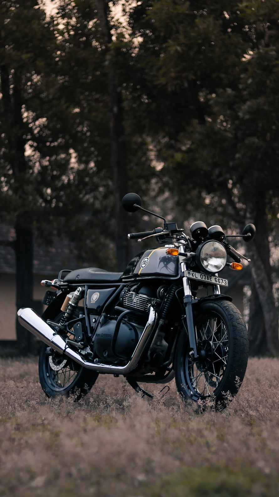 Royal Enfield Interceptor 650 Black Cruiser Motorcycle Parked in a Forest Clearing HD phone wallpaper