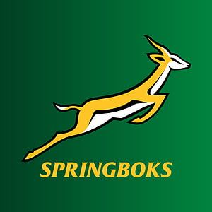 Springboks Rugby Team Logo with Leaping Antelope on Green Background HD phone wallpaper