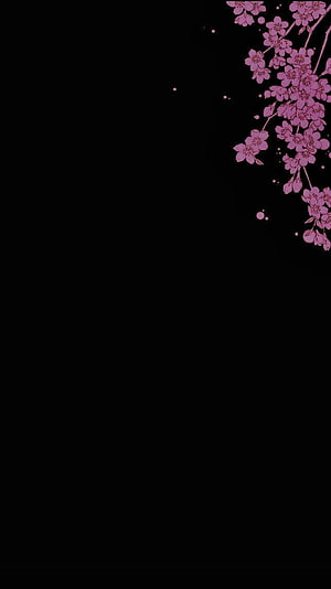 Pink Sakura Branches on Black Background Minimalist Floral Design HD phone wallpaper
