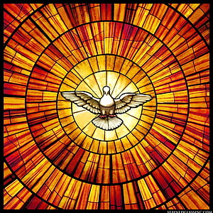 Catholic Stained Glass Dove with Radiant Sunburst Pattern in Warm Amber Tones HD phone wallpaper