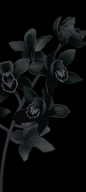 Dark Orchid Bloom Digital Illustration on Black Background HD phone wallpaper
