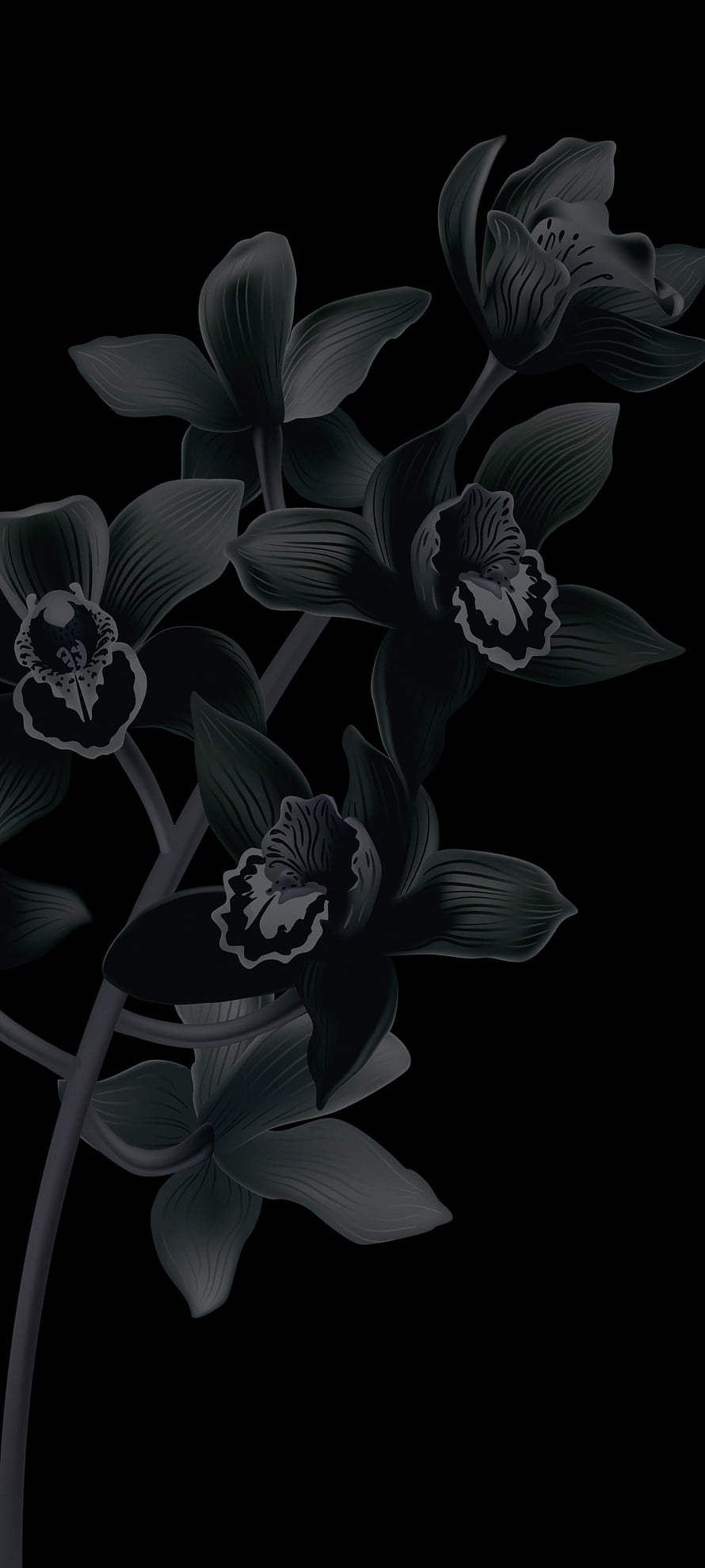 Dark Orchid Bloom Digital Illustration on Black Background HD phone wallpaper