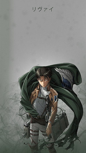 Levi Ackerman in Survey Corps uniform with ODM gear and green cloak, NICKXON on ŁĘVÌ in 2021. Attack on titan levi, Attack on titan art, Titans anime, Levi Attack On Titan HD phone wallpaper