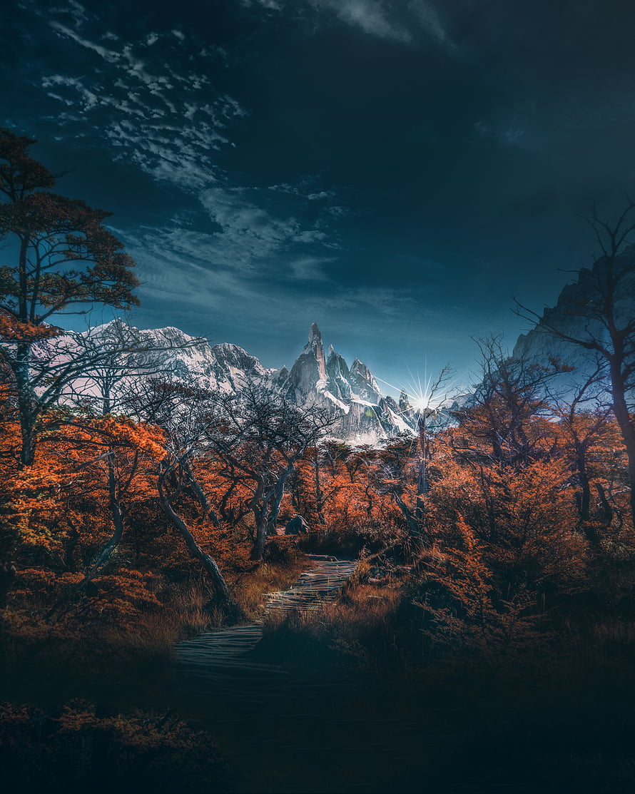 Autumn forest path leading to snow-capped mountain peaks under a dramatic twilight sky HD phone wallpaper