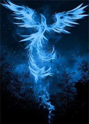 Glowing Blue Phoenix Spirit Rising Through Dark Forest Night Sky HD phone wallpaper