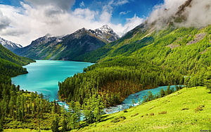 Turquoise Alpine Lake Surrounded by Lush Green Forests and Snow-Capped Mountains HD wallpaper
