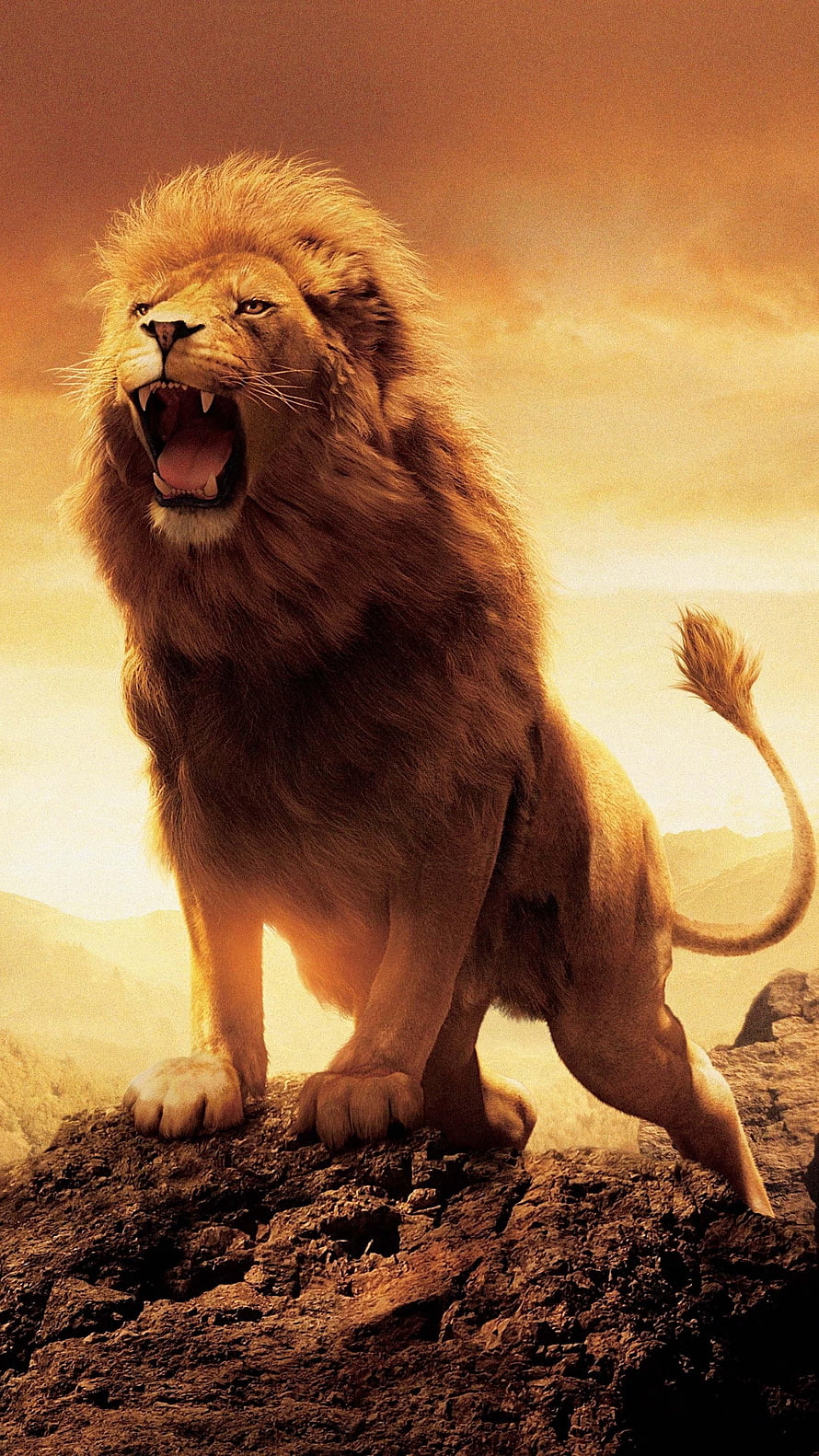 Majestic Male Lion Roaring on Rocky Outcrop in Golden Savanna Light HD phone wallpaper