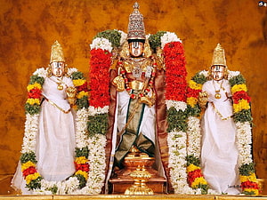 Lord Venkateswara Deity at Tirumala Temple with Flower Garlands and Attendants HD wallpaper