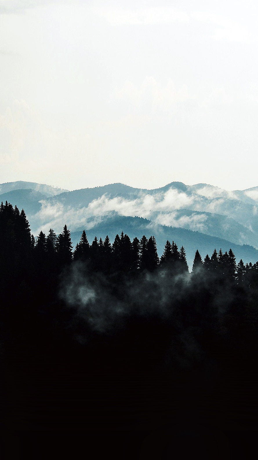 Misty Mountain Ranges with Dark Pine Forest Silhouettes and Low-Hanging Clouds HD phone wallpaper