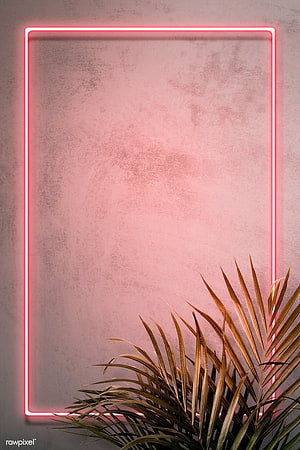 Pink neon rectangular frame on textured concrete wall with tropical palm leaves HD phone wallpaper