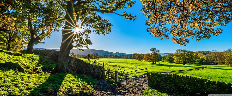 Sunlit English Countryside with Stone Walls and Rolling Green Pastures HD wallpaper