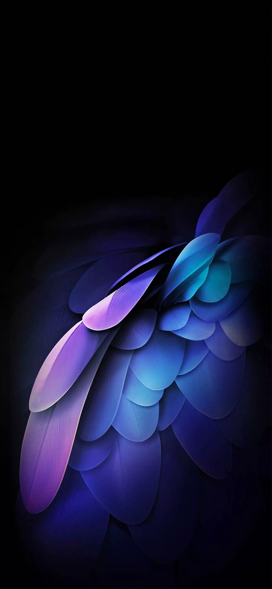 Vibrant Blue and Purple Feathered Wing Abstract Art on Black Background HD phone wallpaper