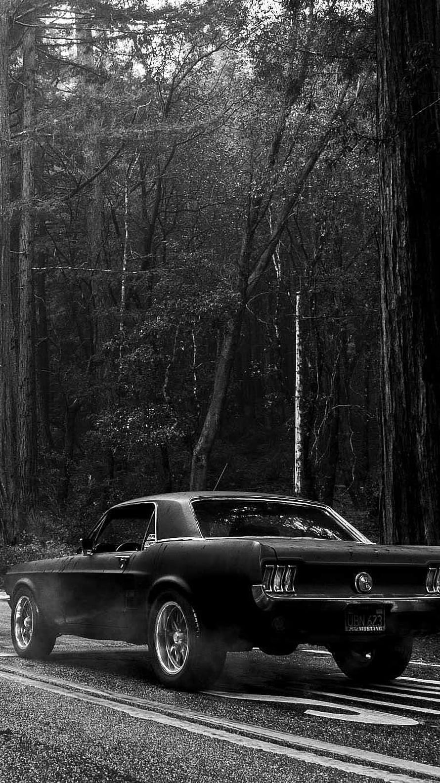 Classic Black Ford Mustang Fastback Parked on a Forest Road in Monochrome HD phone wallpaper
