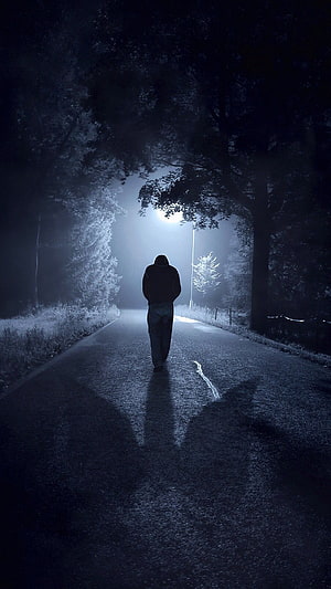 Solitary Figure Walking Down a Misty Forest Road at Night HD phone wallpaper