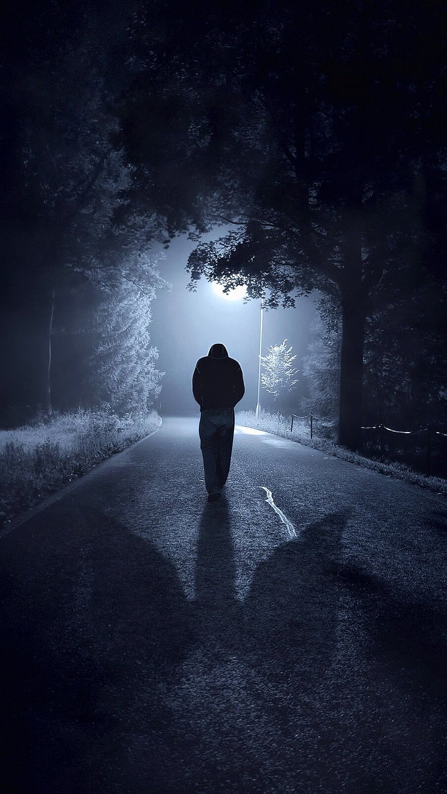 Solitary Figure Walking Down a Misty Forest Road at Night HD phone wallpaper