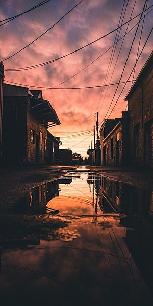 Moody Urban Street at Dusk with Wet Pavement Reflections and Overhead Power Lines HD phone wallpaper