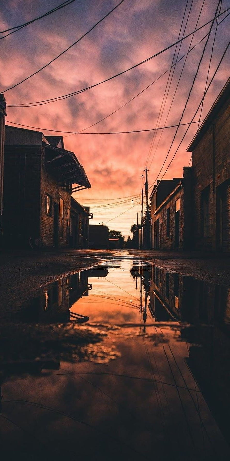 Moody Urban Street at Dusk with Wet Pavement Reflections and Overhead Power Lines HD phone wallpaper