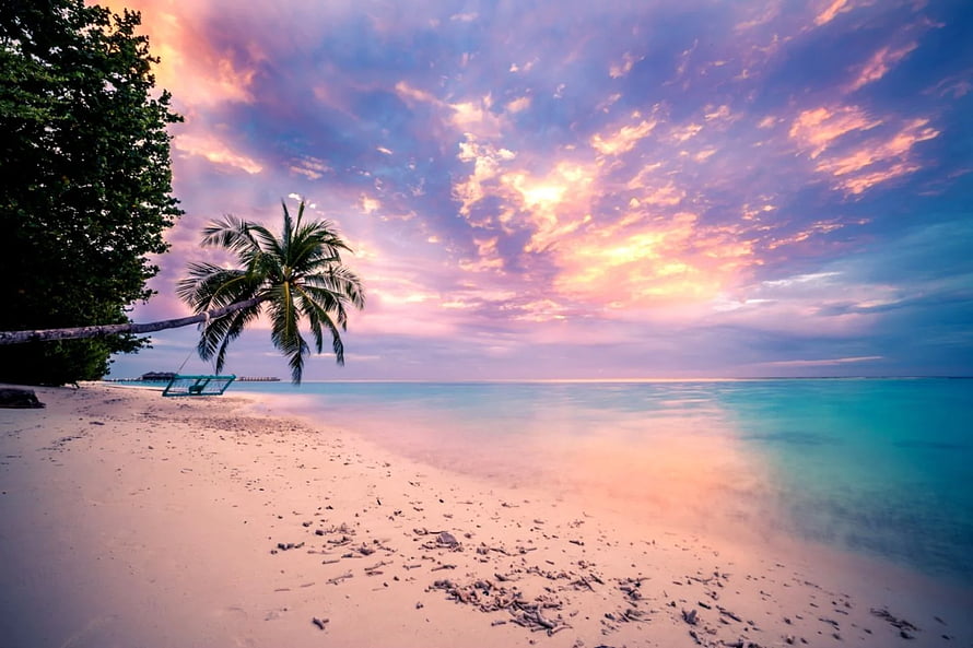 Serene Tropical Beach at Sunset with Leaning Palm Tree and Turquoise Water HD wallpaper