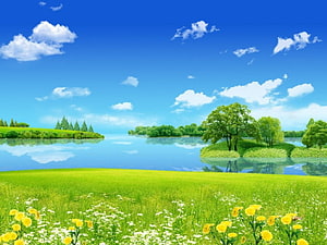 Vibrant Spring Meadow with Wildflowers and a Serene Lake Under a Blue Sky HD wallpaper