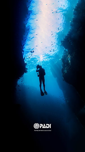 PADI Scuba Diver Silhouette in Underwater Canyon with Sunbeams and Fish HD phone wallpaper