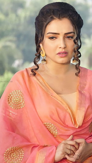 Amrapalli Dubey in Traditional Pink Saree with Gold Embroidery and Jhumka Earrings HD phone wallpaper