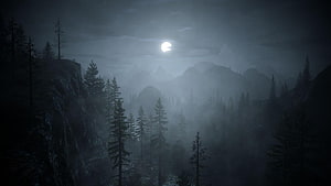 Eerie Moonlit Night Over a Misty Pine Forest and Distant Mountain Ranges HD wallpaper