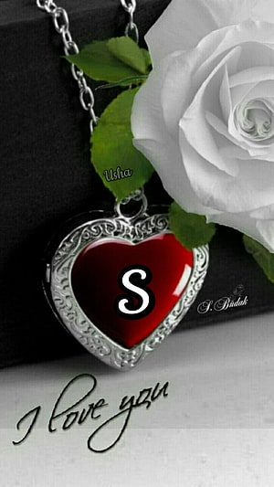 Red Heart Locket Necklace with White Rose and I Love You Script HD phone wallpaper