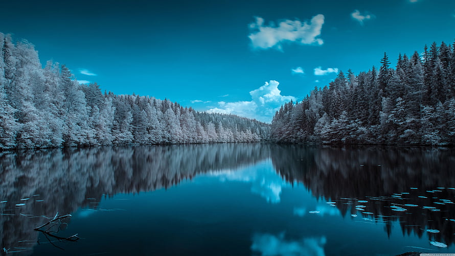 Serene Winter Lake with Snow-Covered Forest and Perfect Reflections HD wallpaper
