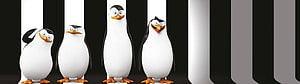 Penguins of Madagascar 3D Character Lineup on Black and White Striped Background HD wallpaper