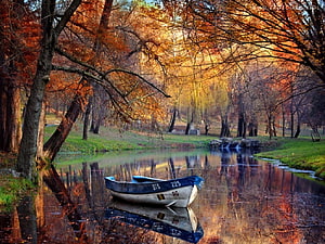 Vintage Rowboat Resting on a Calm River Surrounded by Vibrant Autumn Foliage and Tree Reflections HD wallpaper