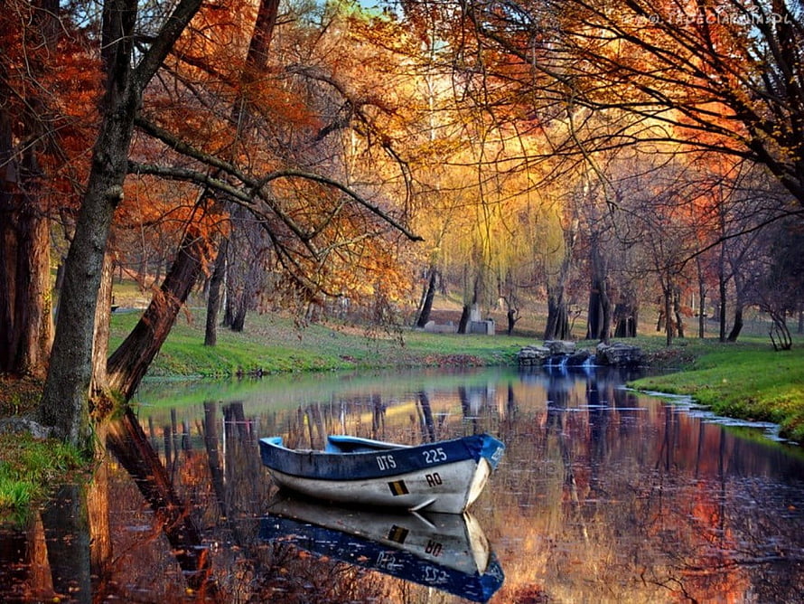 Vintage Rowboat Resting on a Calm River Surrounded by Vibrant Autumn Foliage and Tree Reflections HD wallpaper