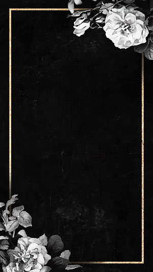 Elegant Black Floral Frame with Gold Border and White Roses HD phone wallpaper