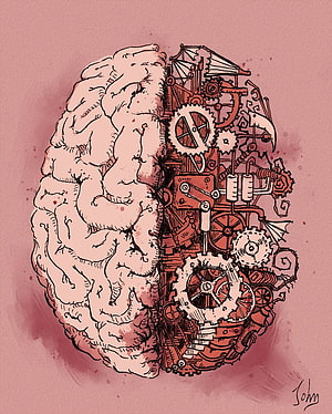 Steampunk Brain Illustration: Organic Anatomy Meets Mechanical Gears and Cogs HD phone wallpaper