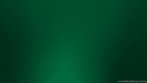 Dark Green Gradient Background with Soft Radial Glow and Minimalist Texture HD wallpaper