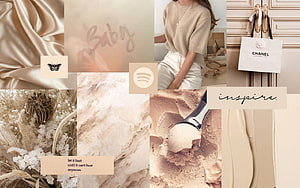 Beige Aesthetic Mood Board with Silk, Marble, and Dried Flowers HD wallpaper
