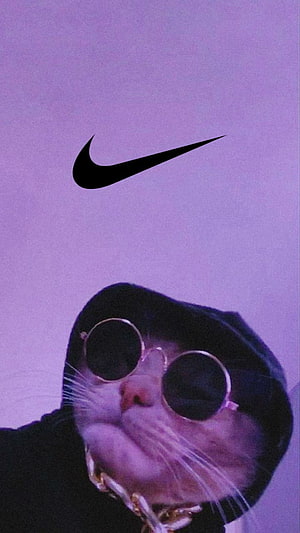 Cool Cat in Hoodie and Sunglasses with Nike Logo on Purple Background HD phone wallpaper