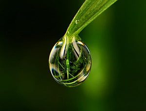 Macro Photography of a Dew Drop Hanging from a Green Leaf Blade with Intricate Reflections HD wallpaper
