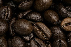 Dark Roasted Coffee Beans Macro Photography with Rich Textural Detail HD wallpaper