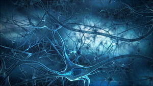 Glowing Blue Neuron Network with Intricate Dendrites and Axons in a Dark Scientific Setting HD wallpaper